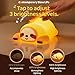 DREAMING MY DREAM Night Light for Kids,Squishy Sloth Night Light,LED Novelty Animal Nightlight,3 Levels Dimmable,30Min Timer Nursery Lamp for Kids, Bedroom Baby Boys Girls Gifts