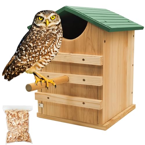 Prolee Handmade Cedar Owl House with Stand