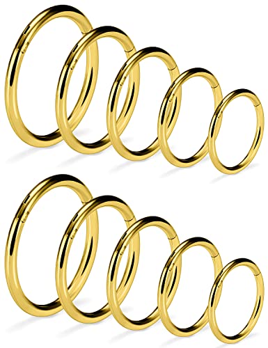 Vsnnsns 14G 16G Septum Nose Rings Hoops Lip Ring Piercing Jewelry 316L Surgical Steel Hinged Segment Clicker Cartilage Tragus Helix Conch Rook Daith Lobe Earrings Hoops Piercing Jewelry for Women Men