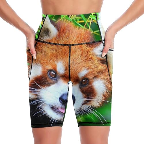 Short de sport femme taille haute Panda Roux legging court boxer pantalon leggins S