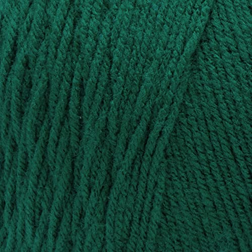 Image of RED HEART Super Saver Jumbo Yarn, Paddy Green