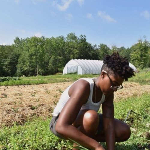 Page de couverture de The Harriet Tubman Freedom Farm