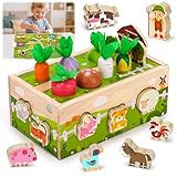 Montessori Spielzeug ab 1 2 Jahr: Kinderspielzeug ab 1 Jahre Motorik Holzspielzeug für 1 2 3 jährige Jungen Mädche Geburtstag Geschenke für 12-18 Monate Pädagogisches Farmspiel Karotten Steckspiel