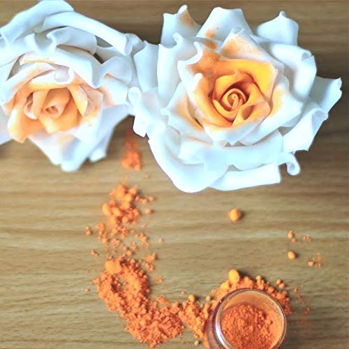 image for Luster Dust - Classic Orange (4g 1x Jar) | Edible Vegan Dust & Paint f