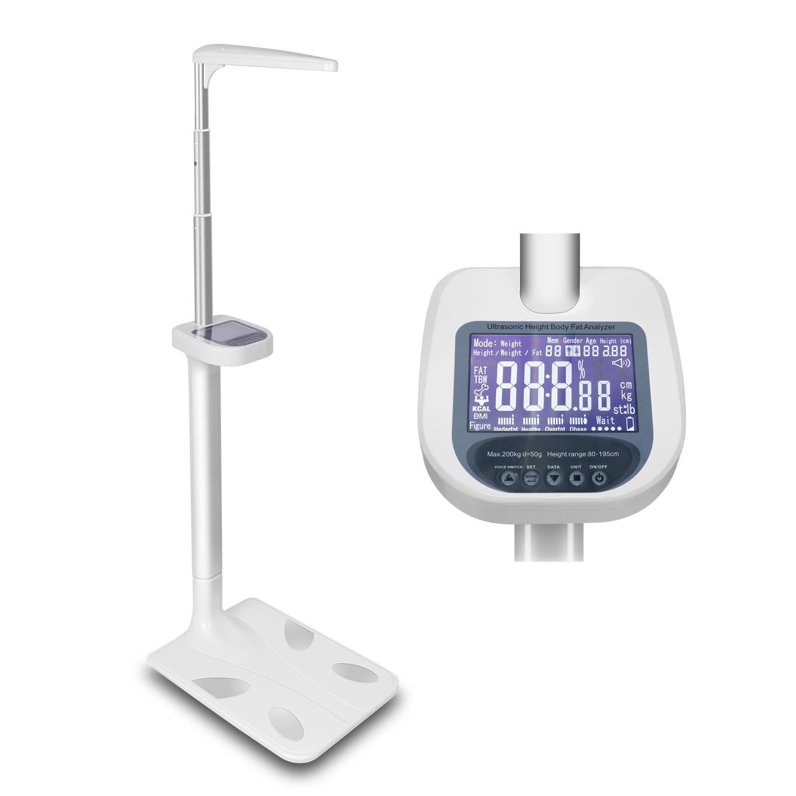 Ultrasonic Digital Physician Scale 440lb 200kg Capacity Health Body Pod Scale for BMI Body Weight and Height Measurement