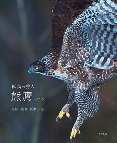 孤高の狩人 熊鷹