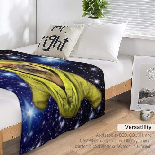 Couverture chaude chien pour des soirées cocooning - 6
