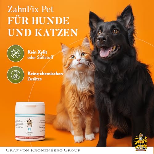 Pet ZahnFix Revital Liposomal Zahnpasta für Hunde und Katzen – 40ml natürliches Zahngel gegen Zahnstein & Zahnfleischentzündung – enzymatische Hundezahnpasta ohne Xylit mit Kurkuma, Kokosöl