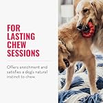 KONG Ring - Natural Rubber Ring Toy for Healthy Chewing Habits - Chew Toy Supports Dog Dental Health - Dog Toy Supports Instincts During Playtime - for Medium/Large Dogs - Image 3