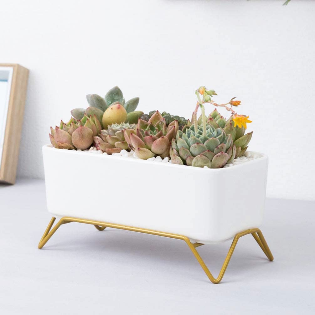 See full amazon price history chart for FURN ASPIRE Rectangle Ceramic Flower Pot Cactus Succulent Planter Table Desk Flower Air Plant Vase with Iron Leg Base for Home Office (Note : Plants are not Included) FURN ASPIRE Rectangle Ceramic Flower Pot Cactus Succulent Planter Table Desk Flower Air Plant Vase with Iron Leg Base for Home Office (Note : Plants are not Included) (B0B6RSWWSC) Amazon Price History, Amazon Price Tracker