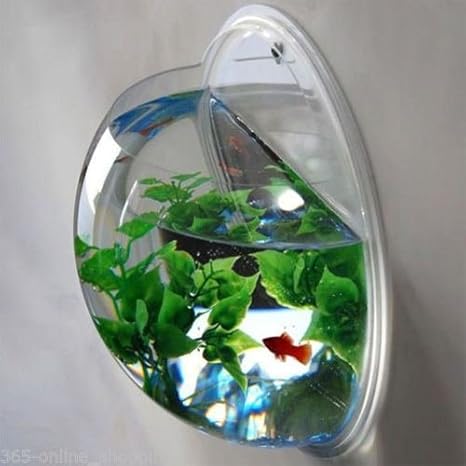 wall aquarium
