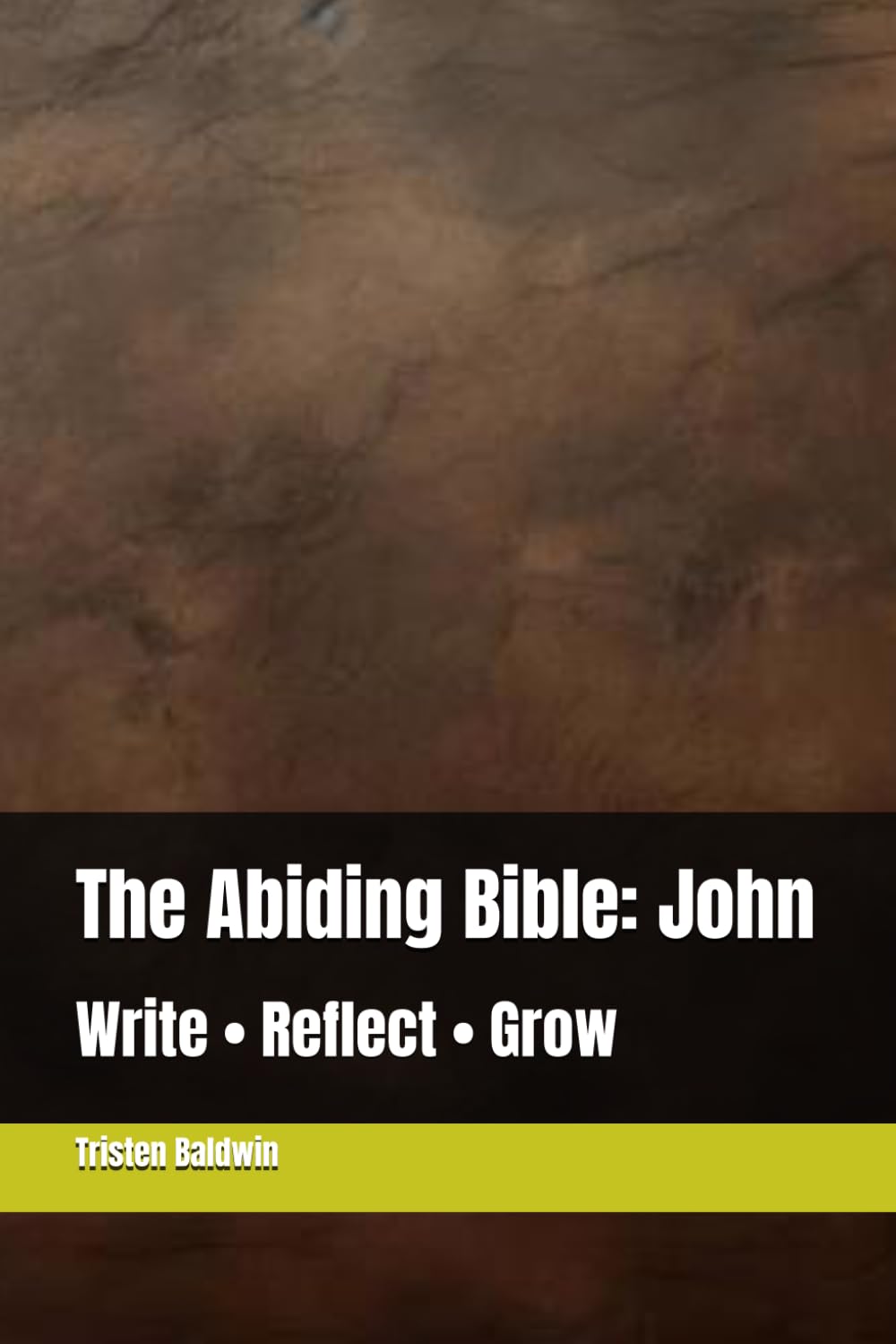 The Abiding Bible: John (The Abiding Bible: The Gospels)