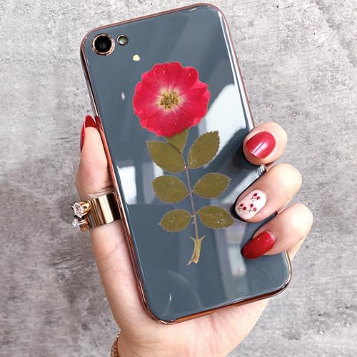 12 piezas de flores de rosa secas naturales y hojas prensadas miniatura 6