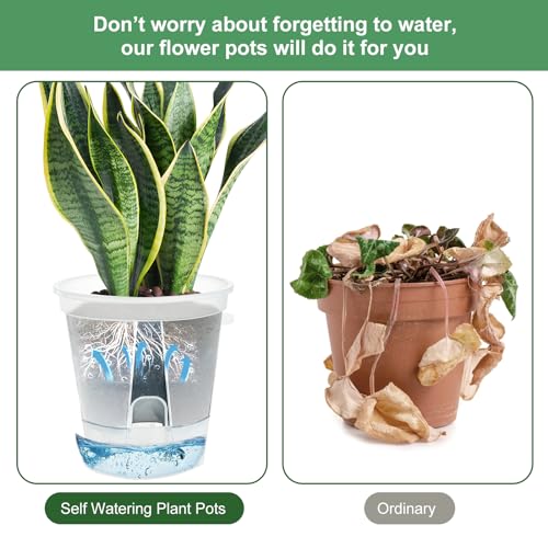 IWTTWY 5 Pack Self Watering Plant Pot, 15cm Plastic Flower Pots - Image 4