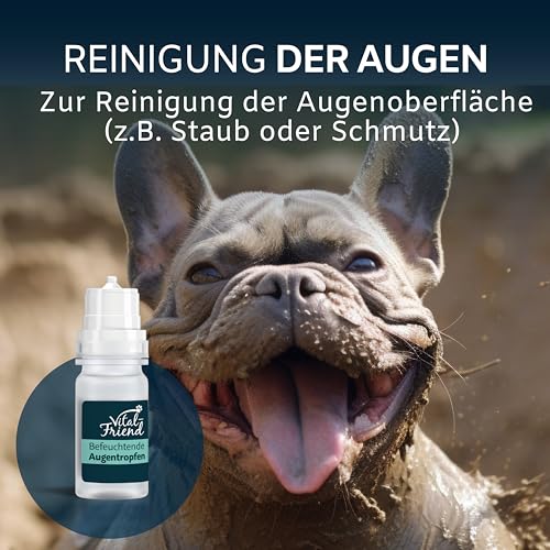 Vital-Friend Augentropfen für Hunde, Katzen und Pferde 10 ml, Augenpflege & Befeuchtung bei Entzündungen, Augenreiniger, Unterstützende Pflege bei Bindehautentzündung, konservierungsmittelfrei