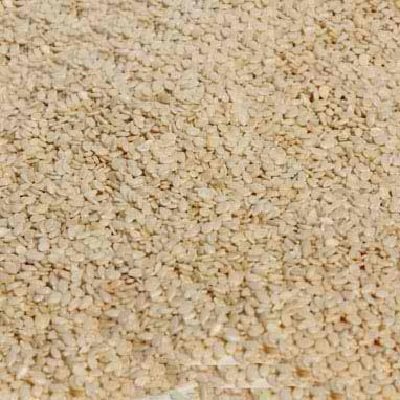 Organic White Hulled Sesame Seeds