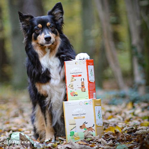 Sammy´s Fruchtschnitten | Fruchtige, gebackene Snacks für Hunde | Schonend im Ofen gebacken| mit Äpfeln & Holunder | 100 % Vegan| ohne Zuckerzusatz | 1x 800 g