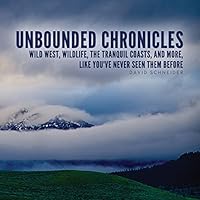 Unbounded Chronicles 0983896747 Book Cover