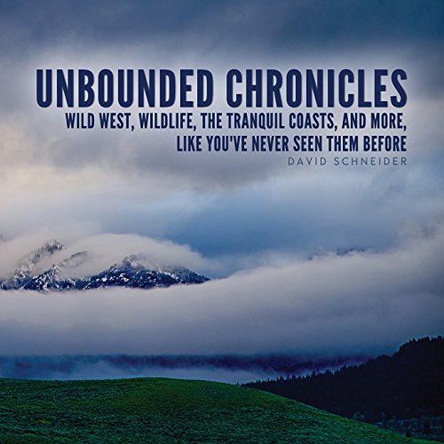 Unbounded Chronicles 0983896747 Book Cover