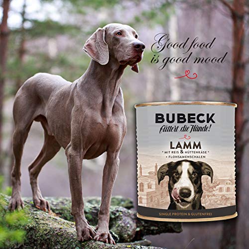 Nassfutter für Hunde | getreidefrei von Bubeck | Verschiedene Sorten (Lamm, 800g)