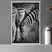 Framed Canvas Wall Art Duotone Zebra Animals Black and White Chic Duotone Expressive Grey Living Room Photography Zebra - 16x24 inches
