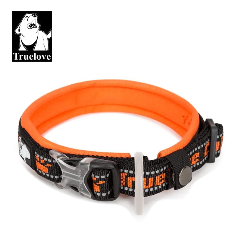 WINHYEPET True Love Reflective Dog Collar - Image 3
