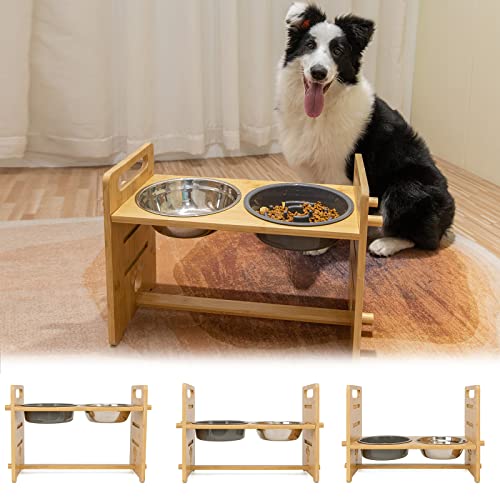 10 Elevated Dog Food Bowls Your Furry Friend Will Love And Why You Need