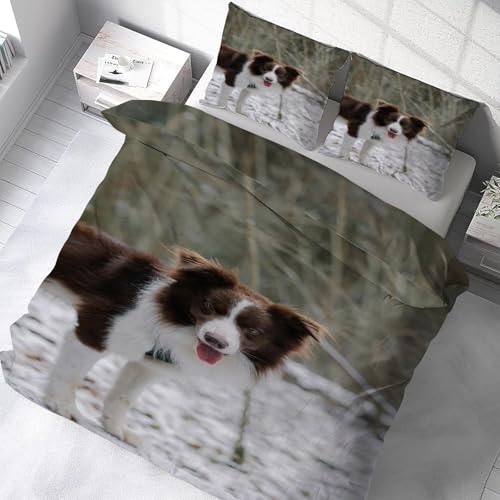 Housse de couette 200x200 microfibre douce fermeture éclair chien - 5