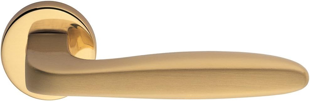 Door Handle Series Ernani with Normal Nozzle Hole In Polished Gold Finish Brass/Satin Gold Art. H1022 R8