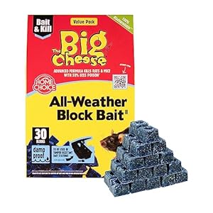 The Big Cheese All-Weather Block Ba...