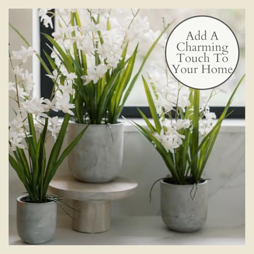 Image of CG Hunter Faux Vanda Orchid Plant, Premium Artificial Indoor Flower Display Stands 26 inch, Beautiful Sculptural Blooms that Lasts Forever, White Planter Pot Included