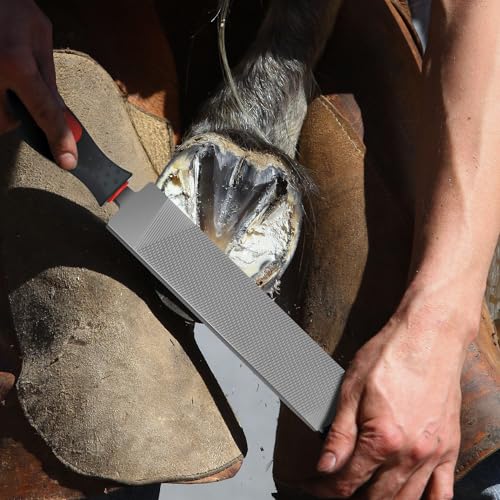 Image of Gisafai 2 Pcs 12 Inch Rasps for Shoeing Horses with Handle Trimming File Carbon Steel Farrier Tools for Repair Horse Goat Hooves Cow Donkey Pig Animal Hooves Repairing Wood Working Supplie