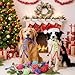 Soulchen 12 Pack Christmas Dog Rope Toys Dogs Chew Ball Toys for Large Medium Chewers Interactive Colorful Tug Rope Sets for Puppy Xmas Gifts Aggressive Chewers Puppies Boredom Teeth Cleaning Training