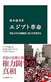 エジプト革命　軍とムスリム同胞団、そして若者たち (中公新書)