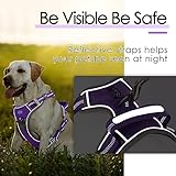ThinkPet Hundegeschirr gegen Ziehen, atmungsaktiv, mit Griff, reflektierend, verstellbar für mittelgroße und große Hunde, Clip hinten/vorne für einfache Kontrolle, Größe M, Neonviolett