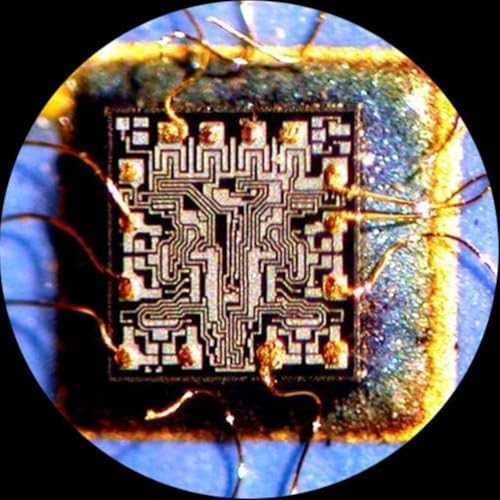 Image of AmScope Trinocular Stereo Zoom Microscope, 10MP Camera