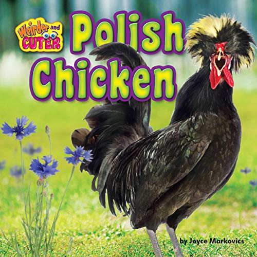 Polish Chicken by Joyce Markovics episode artwork