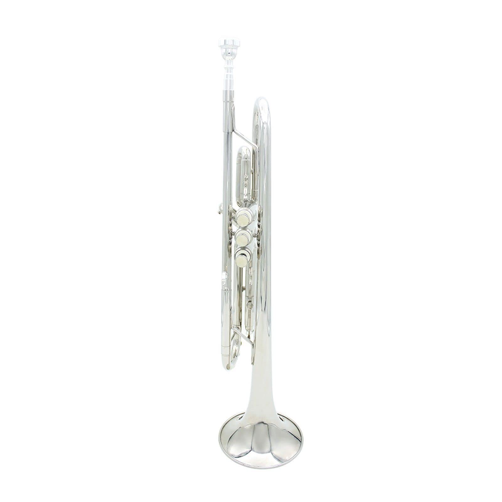 VSOLS Trompete BB B Flat Messing Exquisit mit Mundstückhandschuhen Musikinstrumente (Color : Yellow 1)