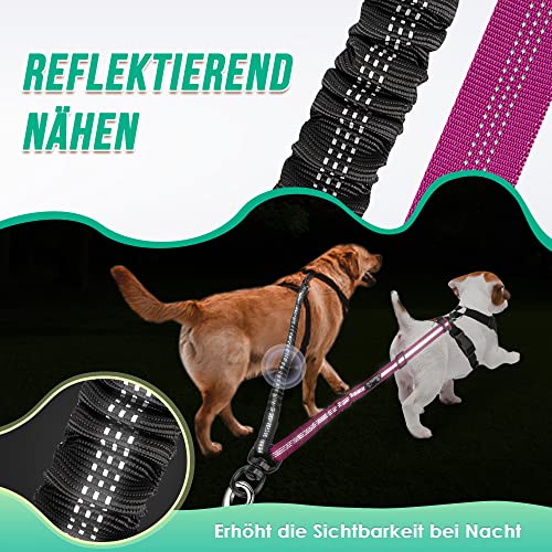 Nasjac Doppelter Hundeleinen-koppler, Keine Verwicklung, Geteilte Leine Zum Gehen Von 2 Hunden, Verstellbarer, Reflektierender, Stoßdämpfender Sicherheits-Bungee-leinen-Splitter