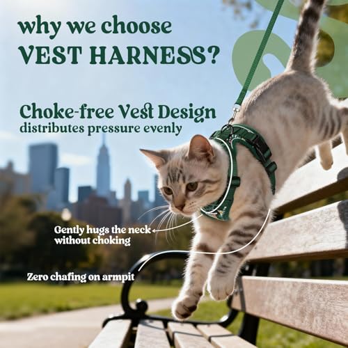 Image of rabbitgoo Cat Harness and Leash Set, Escape Proof Vest, Rainforest Green | Soft Breathable Mesh, Easy Adjustable Fit, Snap Buckles, Sturdy Clip, Reflective Strips, for Average Cats Walks, S