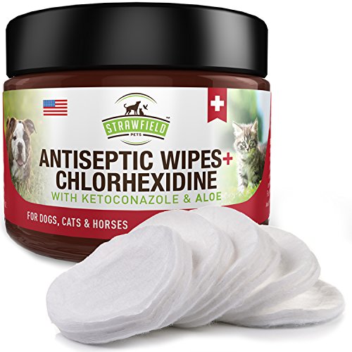 Best Cat Ringworm Treatments in 2020 Ratings, Prices, Products