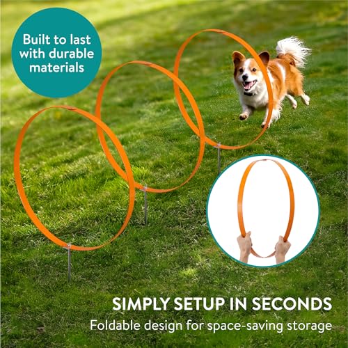 Navaris 3X Ring Agility Set Hunde klein und mittelgroß - 3er Hunde Agility Set - 3 Ringe für Hundesport Hundeparcour - Hunde Training Zubehör - Agility Hund Ringe - Orange