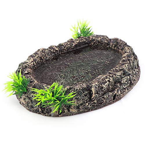 AQUA KT Amphibian Reptile Snake Worm Dish Water Food Bowl for Lizard Turtle Bearded Dragon Tank Accessory Terrarium… - Image 4