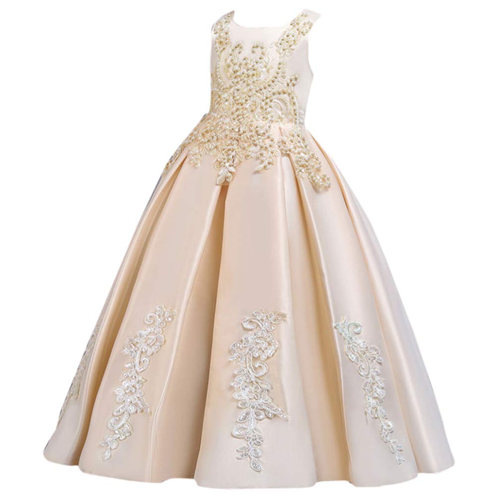 Hopscotch Girls Polyester Sleeveless Floral Embroidery Gown In