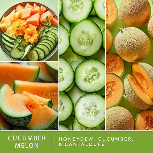 Scentsationals Wax Melts, Wax Cubes Strong Scent - Cucumber Melon - Long Lasting Scented Melts for Warmer, 10 oz (24-Cubes) - Image 3
