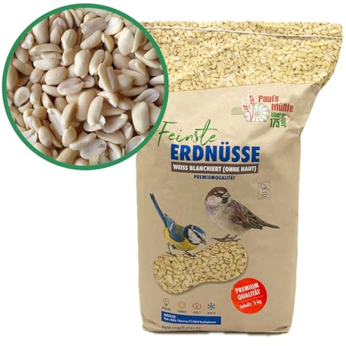 Paul´s Mühle Erdnüsse Weiss, Erdnusskerne blanchiert ohne Haut, 5 kg Neue Ernte 2025