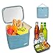 10L Bolsas Térmicas Almuerzo,Bolsa Isotermica Camping,Bolsa Isotérmica Pequeña,Bolsa Térmica Comida,Bolsa Nevera Playa Portatil,Ideal para Oficina,Escuela,Camping,Picnic,Barbacoa (azul)