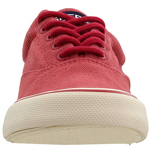 Image of Sperry Top-Sider Men's Striper Ii CVO Sunbleached Sneaker