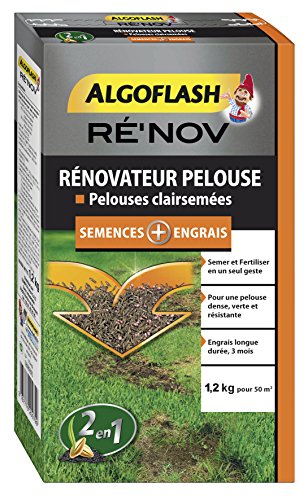 ALGOFLASH Mélange Engrais + Semences pour rénovation pelouse, 1.2 kg, RENOV50