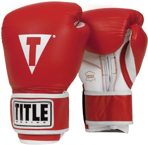title heavy bag gloves